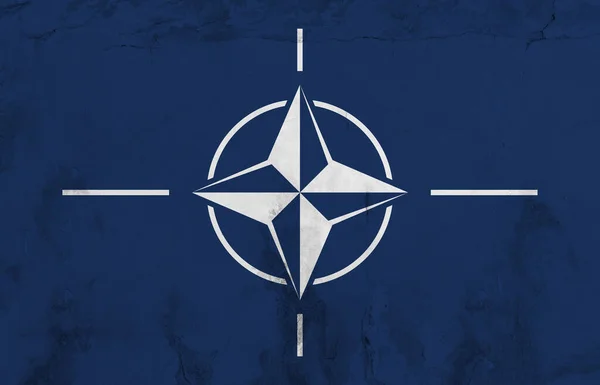 Volledig Beeld Van Nato Vlag Ongewijzigd Achtergronden Vlag Identiteit Wit — Stockfoto