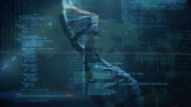 Mavi uzayda DNA zincirleri üzerinde veri işleme animasyonu. İnsan biyolojisi, bilim ve teknoloji konsepti dijital olarak üretilen video.