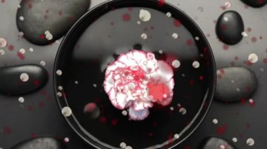 Taşların üzerinde benekler ve suyun üzerinde çiçekler. dünya meditasyon günü ve dijital olarak üretilen video konsepti.