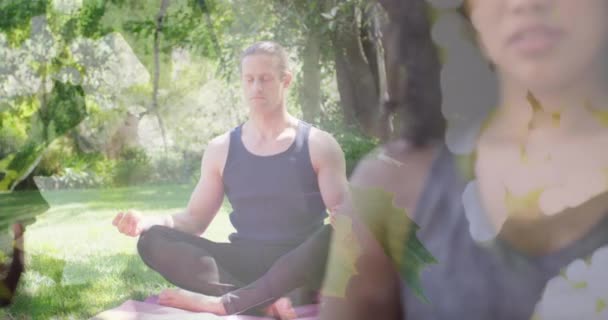 Animering Blad Över Olika Människor Som Utövar Yoga Och Mediterar — Stockvideo