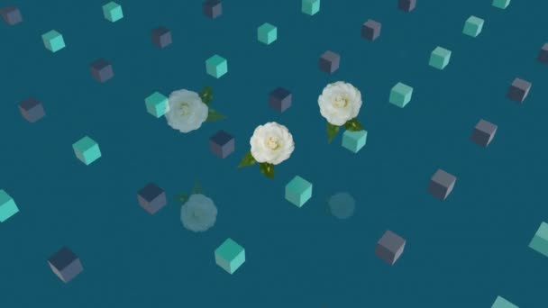 Animation Fleurs Apparaissant Sur Des Cubes Tournants Sur Fond Bleu — Video