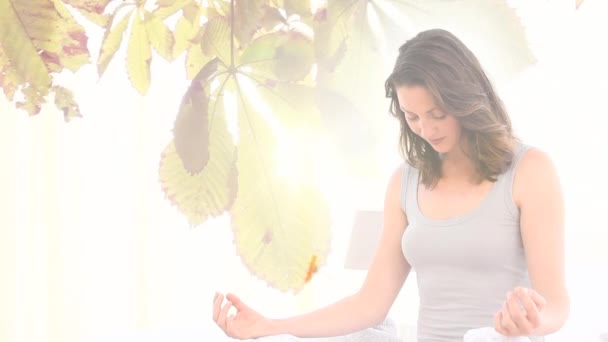 Animação Manchas Luz Folhas Sobre Mulher Caucasiana Praticando Ioga Meditação — Vídeo de Stock