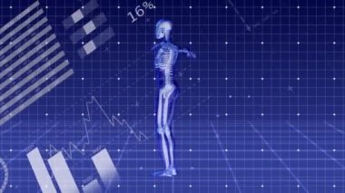 Dijital insan modeli üzerinden veri işleme animasyonu. küresel bağlantılar, dijital arayüz ve ağ konsepti dijital olarak oluşturulmuş video.