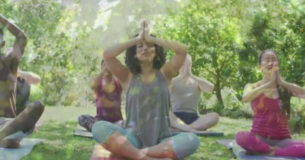 ヨガや瞑想を実践する多様な人々の上に葉のアニメーション 瞑想の日やお祝いのコンセプトをデジタルで — ストック動画