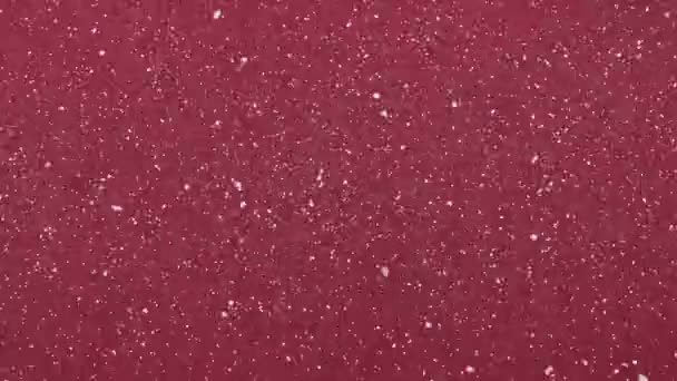 Animación Nieve Cayendo Sobre Fondo Rojo Navidad Navidad Tradición Concepto — Vídeos de Stock