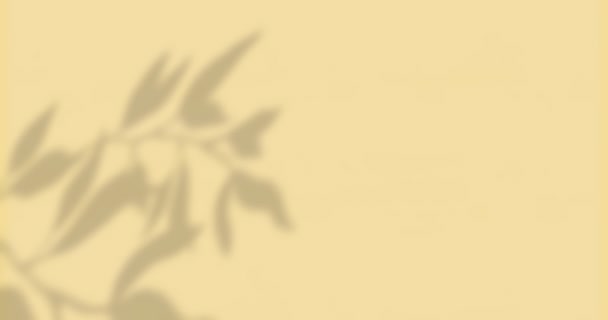 Animatie Van Raamschaduw Van Bladeren Met Kopieerruimte Gele Achtergrond Schaduw — Stockvideo