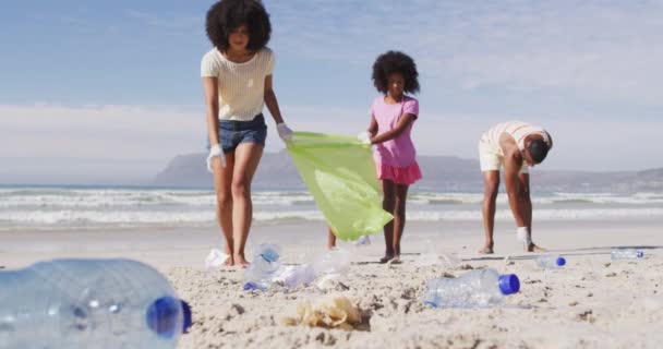 해변에서 쓰레기를 지원자들에 애니메이션 봉사자 디지털 비디오 — 비디오