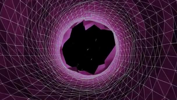 Анимация Розовых Форм Фейерверков Черном Фоне Цветовая Двигательная Концепция Цифрового — стоковое видео
