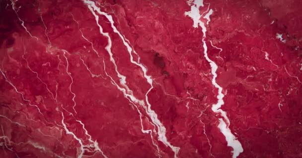 Анимация Фона Движущимися Белыми Красными Волнами Концепция Цветного Двигательного Цифрового — стоковое видео
