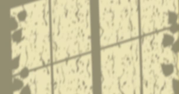 Animazione Finestra Ombra Foglie Pioggia Che Cade Sfondo Giallo Ombra — Video Stock