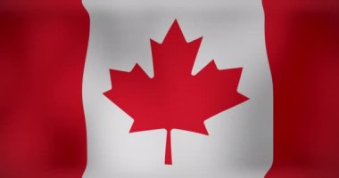 Hareket eden Kanada bayrağının animasyonu. Ulusal vatanseverlik ve kutlama konsepti dijital olarak oluşturulmuş video.