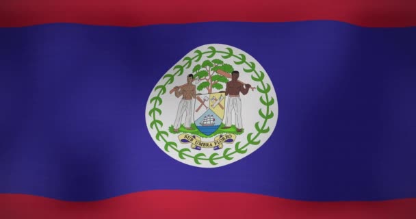 Animation Drapeau Mouvant Belize Agitant Patriotisme National Concept Célébration Vidéo — Video