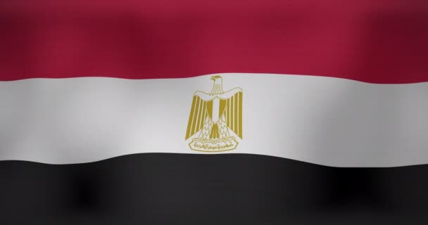Анимация Движущегося Флага Размахивания Египтом Национальный Патриотизм Концепция Празднования Цифрового — стоковое видео