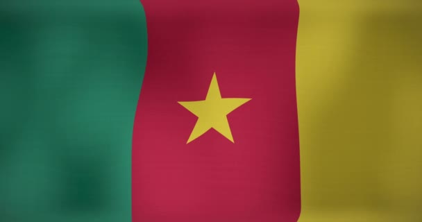 Animation Von Bewegten Flaggen Kameruns Die Geschwenkt Werden Nationalpatriotismus Und — Stockvideo