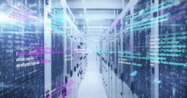 Sunucu odasında veri işleme animasyonu. küresel iş ve dijital arayüz kavramı dijital olarak oluşturulmuş video.