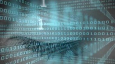 Mavi göz üzerinde veri işleme ve ikili kodlama animasyonu. çevrimiçi kimlik, hesaplama, veri işleme ve dijital arayüz kavramı dijital olarak oluşturulmuş video.