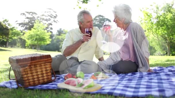 晴れた日にワインとピクニックをしている幸せな白人のシニアカップルの上に光のアニメーション ワインビジネス お祝いと一緒に過ごす時間デジタル生成ビデオをコンセプトに — ストック動画