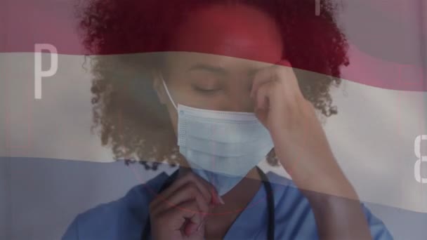 Animación Números Bandera Los Países Bajos Sobre Mujer Afroamericana Doctora — Vídeo de stock