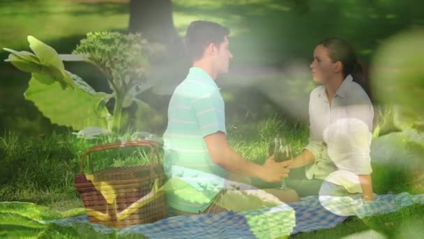 Animación Luces Sobre Feliz Pareja Caucásica Haciendo Picnic Con Vino — Vídeos de Stock