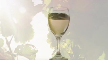 Arka planda üzümlü beyaz şarap animasyonu. şarap işi, tatma ve kutlama konsepti dijital olarak oluşturulmuş video.