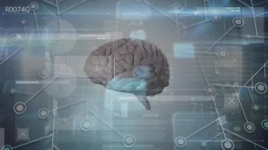 Ekranda çeşitli veriler üzerinde dönen beynin animasyonu. İnsan biyolojisi, bilim ve teknoloji konsepti dijital olarak üretilen video.