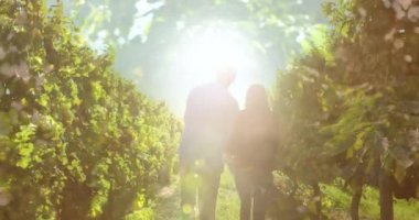 Beyaz tenli bir çiftin el ele tutuşup üzüm bağında yürümesinin animasyonu. şarap işi, kutlama ve birlikte zaman geçirme konsepti dijital olarak oluşturulmuş video.