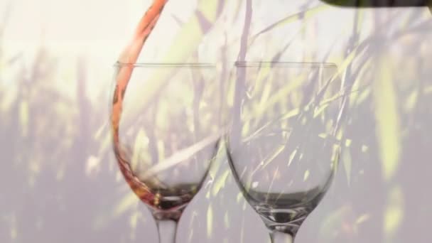 白葡萄酒和玫瑰酒的动画倒入玻璃与树的背景 品酒及庆祝概念数码影片 — 图库视频影像