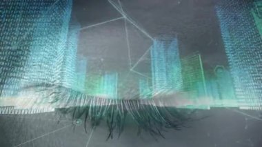 Mavi göz üzerinde veri işleme ve ikili kodlama animasyonu. çevrimiçi kimlik, hesaplama, veri işleme ve dijital arayüz kavramı dijital olarak oluşturulmuş video.