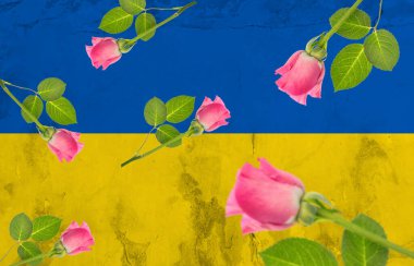 Ukrayna bayrağı üzerinde pembe güllerin dijital kompozit görüntüsü, kopyalama alanı. İllüstrasyon, vatanseverlik, Rusya Ukrayna çatışması, işgal ve siyaset kavramı.