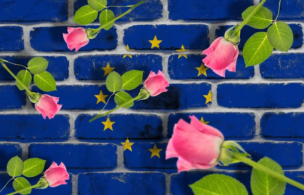 Digitális Kompozit Kép Rózsaszín Rózsák Felett Európai Zászló Festett Téglafal — Stock Fotó