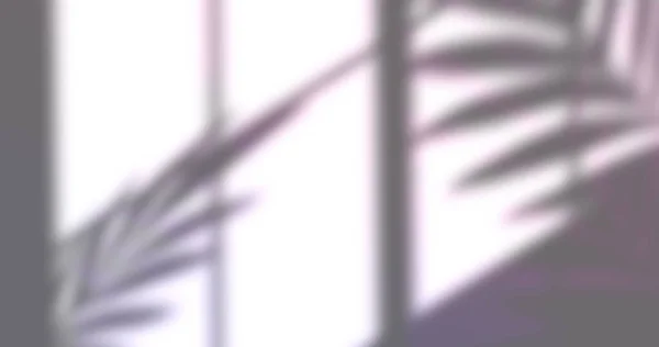 Bild Des Fensterschattens Der Blätter Auf Weißem Hintergrund Schatten Muster — Stockfoto
