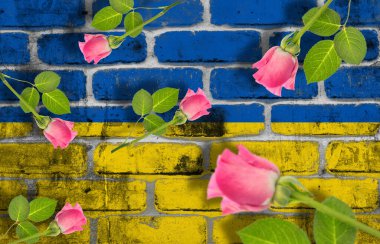 Tuğla duvara, kopyalama alanına pembe güllerin dijital kompozit görüntüsü çizilmiş. İllüstrasyon, vatanseverlik, Rusya Ukrayna çatışması, işgal ve siyaset kavramı.