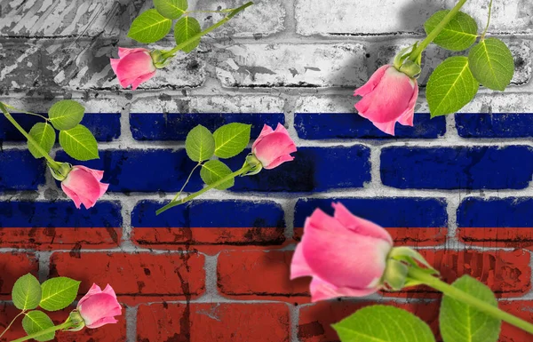 Rus Bayrağının Üzerindeki Pembe Güllerin Dijital Kompozit Görüntüsü Tuğla Duvara — Stok fotoğraf