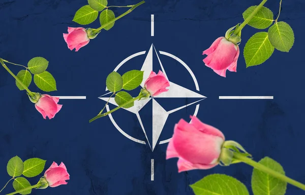 Digitale Composiet Afbeelding Van Roze Rozen Nato Vlag Geschilderd Muur — Stockfoto