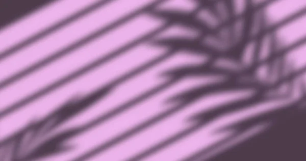 Afbeelding Van Venster Schaduw Van Bladeren Blinds Roze Achtergrond Schaduw — Stockfoto