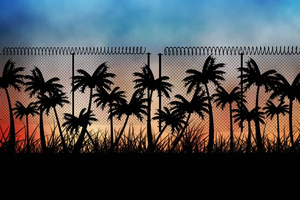 Drut Kolczasty Nad Sylwetką Palm Tle Zachodzącego Słońca Tropikalna Muzyka — Zdjęcie stockowe
