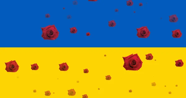 Bild Röda Rosor Som Svävar Över Flaggan Ukraina Ukrainska Krisen — Stockfoto