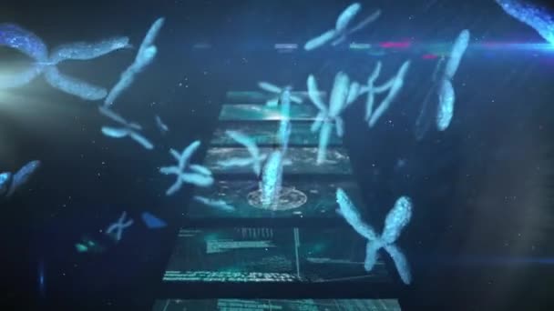 Animering Kromosomer Olika Data Över Dna Kedjan Och Rörliga Skärmar — Stockvideo