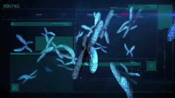 Animation Von Chromosomen Und Dna Kette Über Dem Navy Bildschirm — Stockvideo