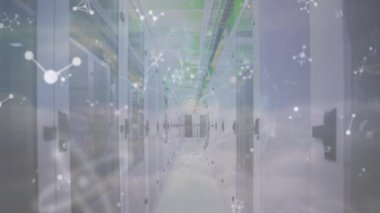 Sunucu odasında dönen küre ve moleküllerin animasyonu. küresel ağ, bağlantılar, veri işleme ve teknoloji konsepti dijital olarak oluşturulmuş video.