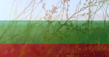 Sütunların üzerinde bulgarya bayrağının canlandırılması. Ukrayna krizi ve uluslararası politika kavramı dijital olarak oluşturuldu.