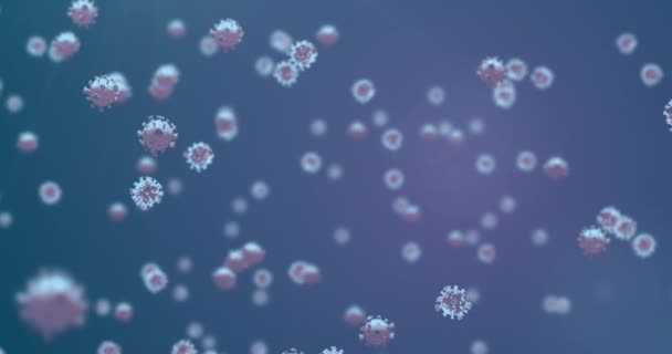 Vírussejtek Animációja Kék Háttérrel Globális Tudomány Digitális Interfész Kovid Világjárvány — Stock videók