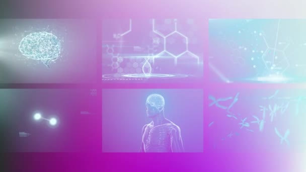 ピンクの背景に画面上の科学的および生物学的データ処理のアニメーション 人間生物学 データ処理 テクノロジーの概念がデジタルで生成され — ストック動画