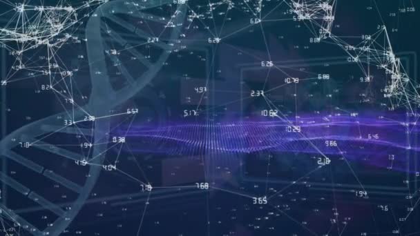 Animação Rede Conexões Sobre Fita Dna Processamento Dados Fundo Preto — Vídeo de Stock