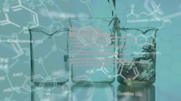 Animazione Elaborazione Dei Dati Formula Chimica Becher Con Liquido Concetto — Video Stock