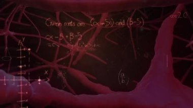 Matematiksel denklemlerin siyah arkaplandaki nöronlar üzerinden canlandırılması. küresel eğitim ve dijital arayüz kavramı dijital olarak oluşturulmuş video.