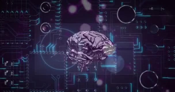 Animación Procesamiento Datos Cerebro Humano Placa Circuito Seguridad Global Línea — Vídeo de stock