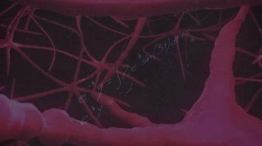 Matematiksel denklemlerin siyah arkaplandaki nöronlar üzerinden canlandırılması. küresel eğitim ve dijital arayüz kavramı dijital olarak oluşturulmuş video.