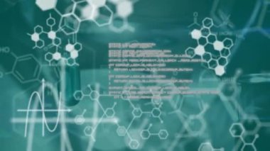 Kafkas kadın bilim adamı üzerindeki veri işleme ve kimyasal formülün animasyonu. küresel bilim, bilgisayar ve dijital arayüz kavramı dijital olarak oluşturulmuş video.