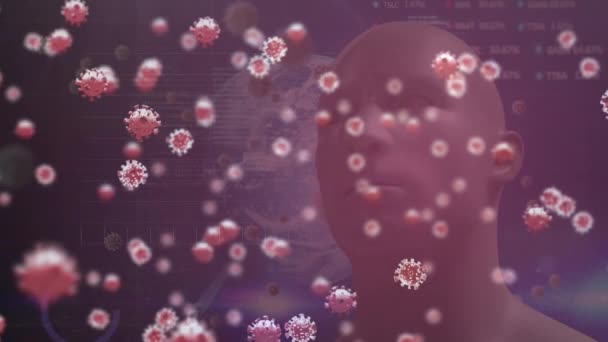 Animacja Komórek Wirusa Covid Głowicy Cyfrowej Nad Przetwarzaniem Danych Czerwonym — Wideo stockowe